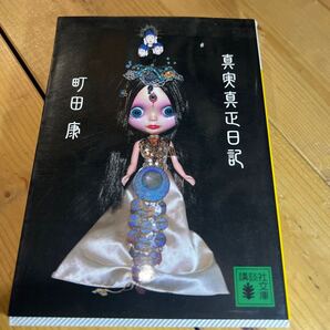 真実真正日記 (講談社文庫 ま46-7) 町田康/〔著〕