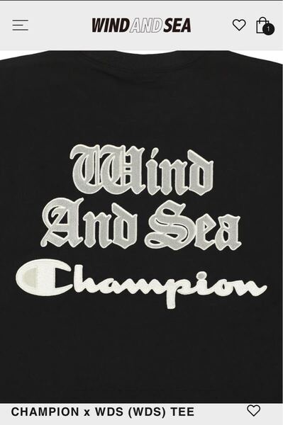 ウィンダンシー チャンピオン 別注 Mサイズ ワッペン 刺繍 Tシャツ 黒 wind and sea アメカジ