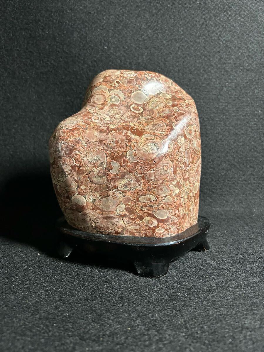天然石 鑑賞石 梅花石 置物 重さ約24.8kg 唐木台付 M R6821B