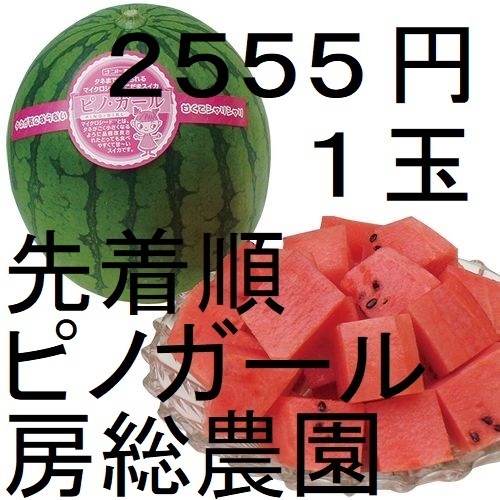 2555円・1玉・第2弾・数量限定・ピノガール「小玉スイカランキング第1位」 19
