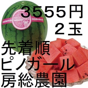 3555円・2玉・第2弾・数量限定・ピノガール「小玉スイカランキング第1位」 18