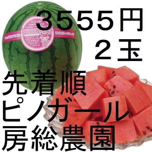 3555円・2玉・第2弾・数量限定・ピノガール「小玉スイカランキング第1位」 20