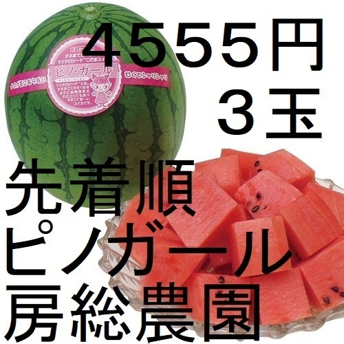 4555円・3玉・第2弾・数量限定・ピノガール「小玉スイカランキング第1位」 18