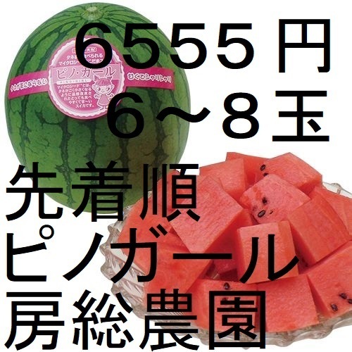 6555円・6~8玉・第2弾・数量限定・ピノガール「小玉スイカランキング第1位」 21