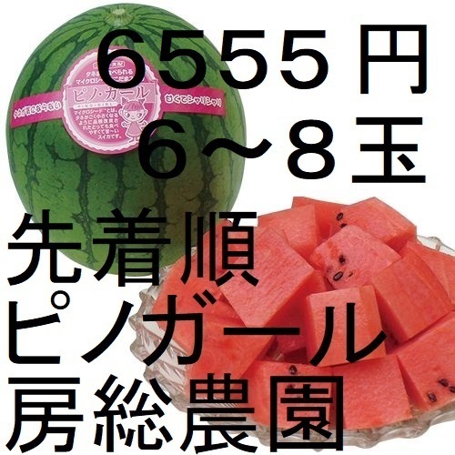 6555円・6~8玉・第2弾・数量限定・ピノガール「小玉スイカランキング第1位」.21