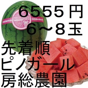 6555円・6~8玉・第2弾・数量限定・ピノガール「小玉スイカランキング第1位」.23