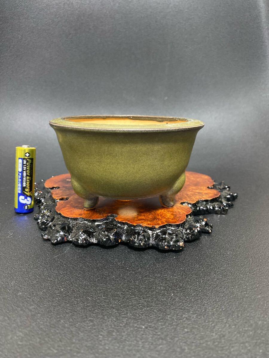2025年最新】Yahoo!オークション -ミニ盆栽鉢(盆栽)の中古品