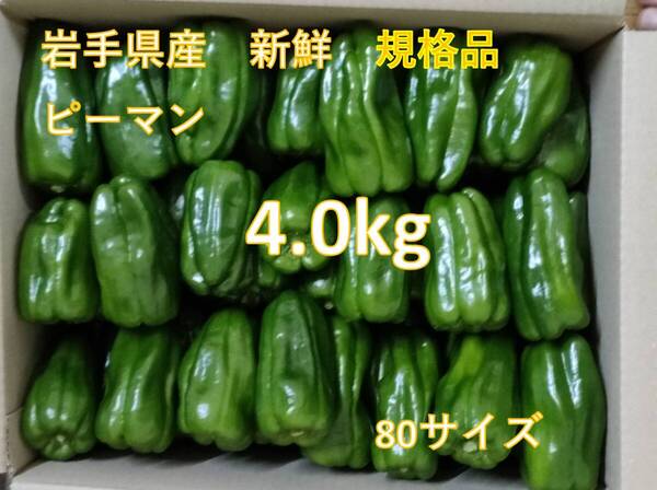 ★規格品 新鮮 ピーマン 4.0kg 岩手県産