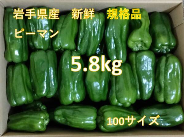 ★規格品 新鮮 ピーマン 5.8kg 岩手県産