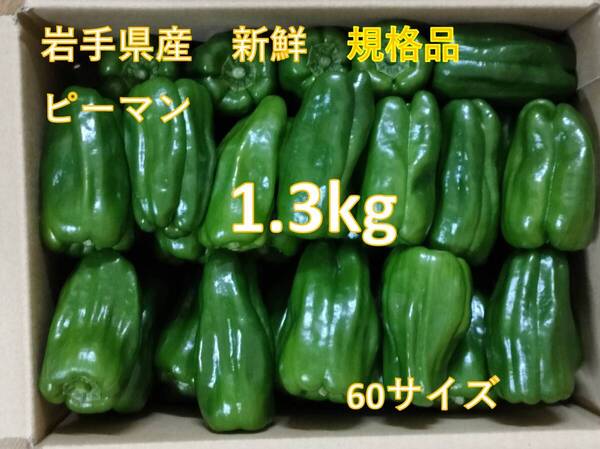 ★規格品 新鮮 ピーマン 1.3kg 岩手県産