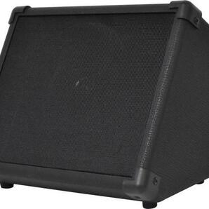電子ドラム デジタルドラム キーボード 電子ピアノ用アンプ Belcat ベルキャット AP-15DK 15W 同時に2台まで楽器接続可能