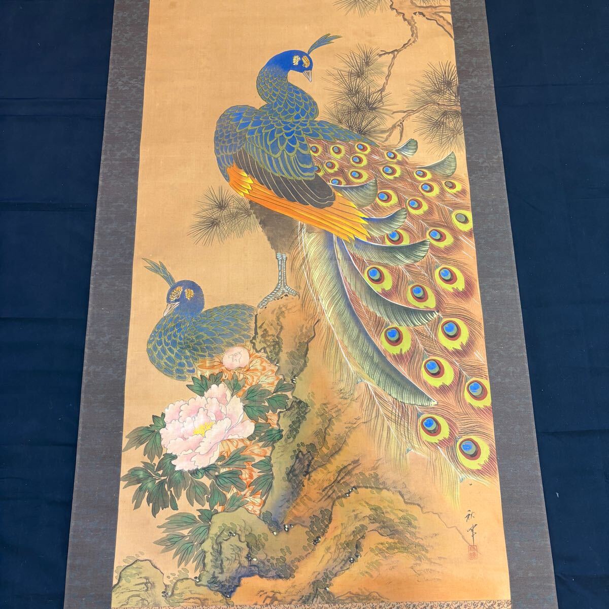「孔雀」 瑞光 掛け軸 掛軸 共箱あり Yahoo!オークション -「掛け軸 孔雀」(花鳥、鳥獣) (日本画)の