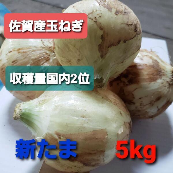 佐賀県産玉葱5kg 新玉ねぎ3