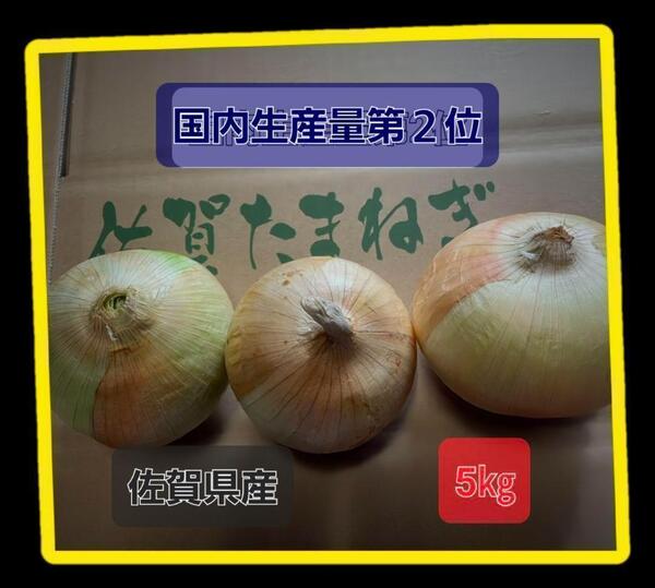 佐賀県産玉葱5kg 新玉ねぎ