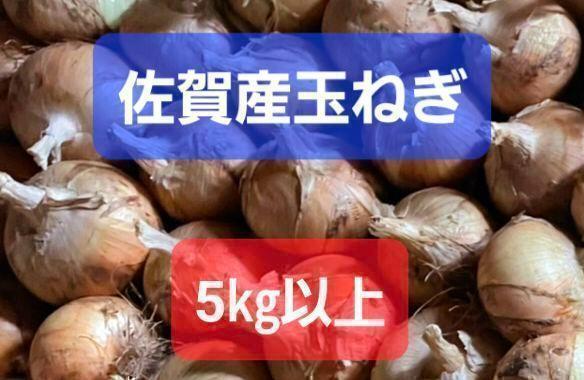 佐賀県産玉葱5kg 新玉ねぎ
