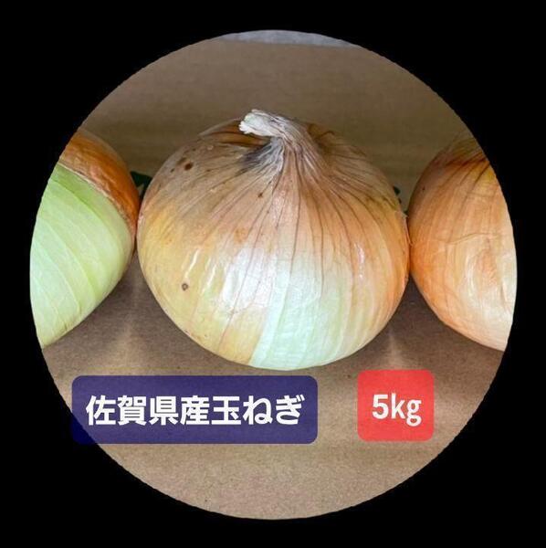 佐賀県産玉葱5kg 新玉ねぎ5