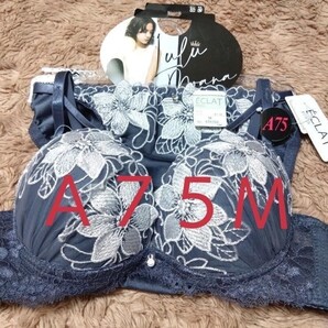 ④レディース ブラ&ショーツ A75M