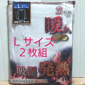 ①メンズ 紳士 インナーウェア 長袖 クルーネックシャツ 吸湿発熱 Lサイズ 2枚組 ポリエステル65% レーヨン35%