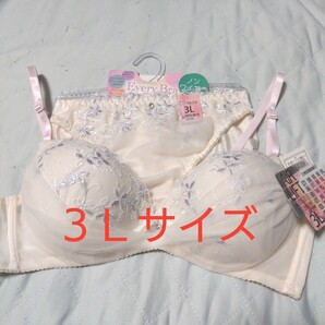 ③ブラ&ショーツ 3Lサイズ ノンワイヤー 該当サイズ C85 D80 D85 E80