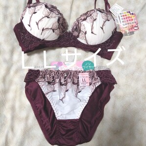 ⑩ブラ&ショーツ LLサイズ ノンワイヤー 該当サイズ B85 C80 C85 D75 D80 E75