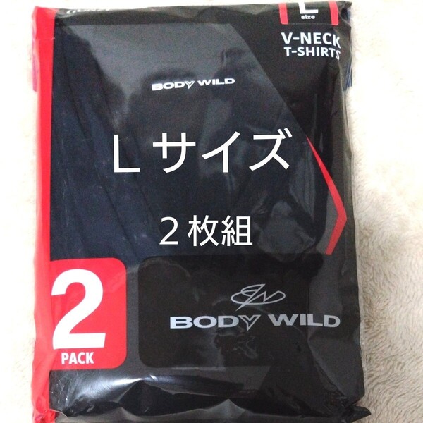 ②GUNZE グンゼ BODYWILD メンズ 紳士 Lサイズ Vネック 半袖 Tシャツ 抗菌防臭加工 2枚組 ブラック