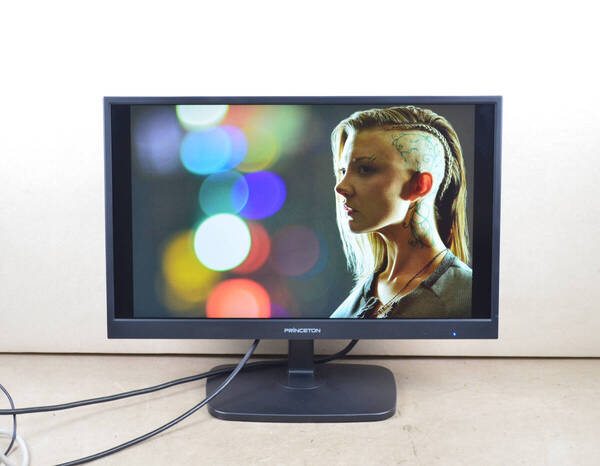 狭額 Princeton 21.5型ワイド PTFBDE-22W フルHD ゲーミング HDMI スピーカー内蔵 LED ディスプレイ ⑦