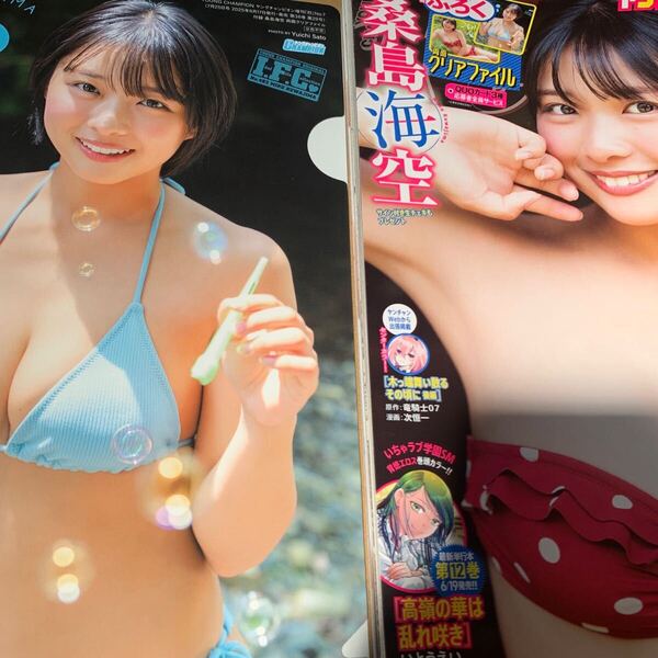 【新品同様/付録完備】ヤングチャンピオン烈 桑島海空 クリアファイル 応募券無し