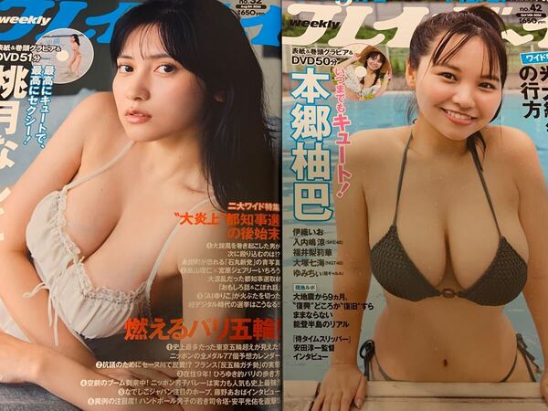 【新品2冊セット】週刊プレイボーイ 桃月なしこ 本郷柚巴 未開封 DVD 福井梨莉華 柳瀬さき 伊織いお 矢野ななか 染谷有香