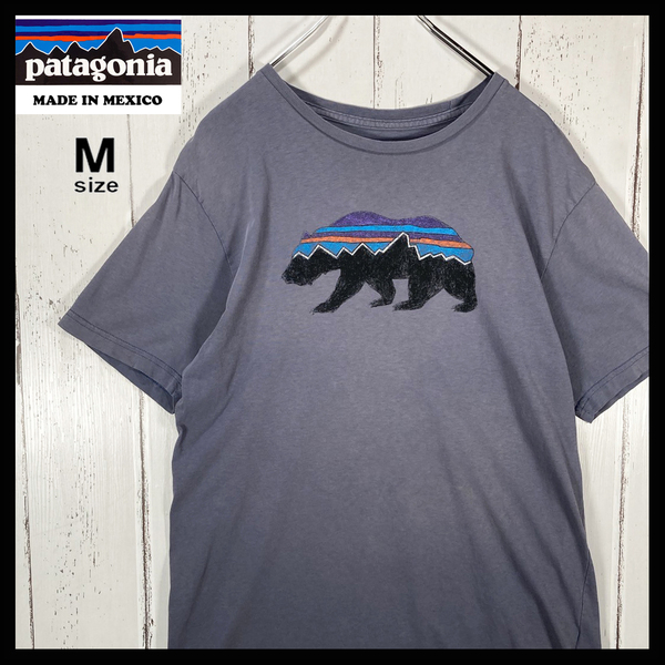 【USED】パタゴニア PATAGONIA フィッツロイ ベアー プリント Tシャツ 古着 青灰( メンズ Mサイズ ) ☆送料無料☆