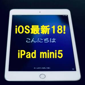 ◆良品 ios最新18 iPad mini 5 64GB アップルIPAD MINI 第5世代 Apple タブレット アイパッド ( 新品 保護フィルム) 5の付く日 0236