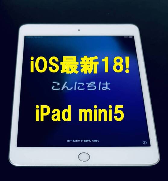 ◆良品 ios最新18 iPad mini 5 64GB アップルIPAD MINI 第5世代 Apple タブレット アイパッド ( 新品 保護フィルム) 5の付く日 0247