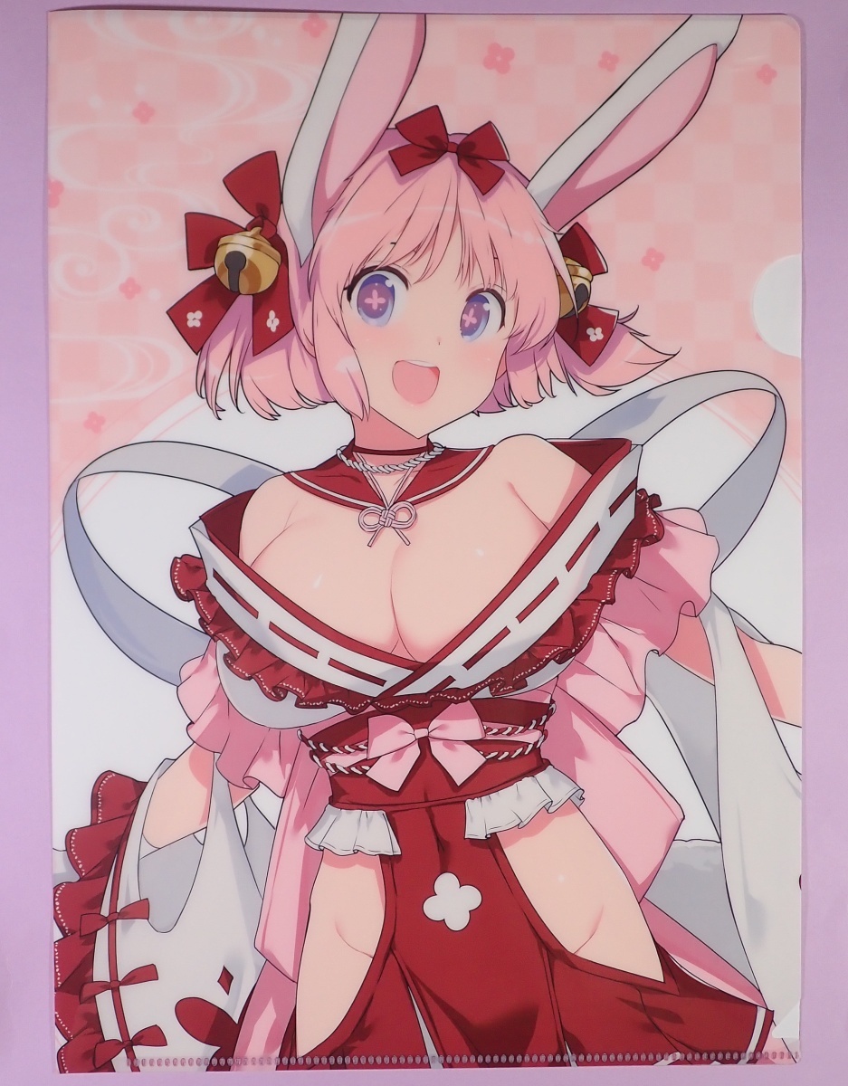 パチンコ 閃乱カグラ 限定品 キャンバスボード+クリアファイル+