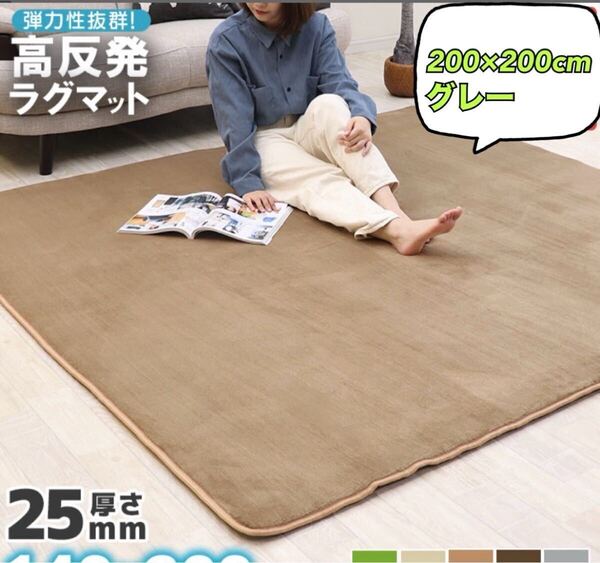 ラグ 高反発 極厚25mm 200×200cm ラグ 厚手 滑り止め ラグマット カーペット リビング 高反発ラグ オールシーズン グレー
