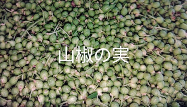 岩手県産 天然 山椒の実 塩漬け 100g