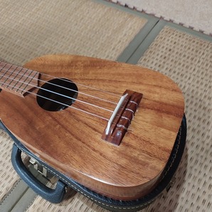 <激レア・美品>CENIZA byT&K ソプラノパイン ロングネック