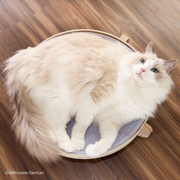 ガリガリスイート ラウンド クールグレージュ爪とぎ 爪みがき おもちゃ 猫用品