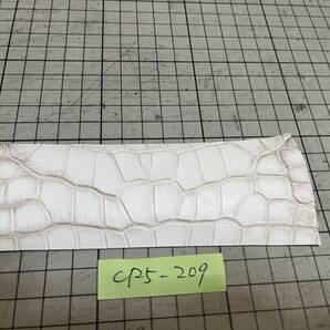 CR5-209★エルメスボッテガ使用同じタンナー最高級本ヒマラヤ希少部位マット自然仕上げ最高級ポロサスクロコダイル★レザークラフトはぎれ