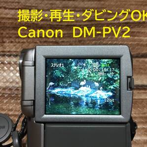 撮影再生ダビングOK Canon DM-PV2 MiniDV用