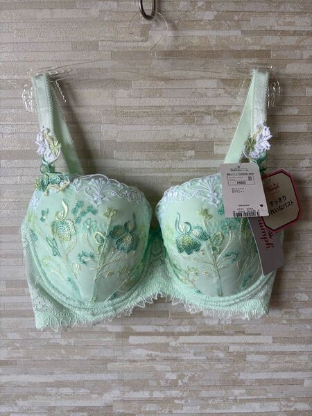 H65」トリンプ プレミアム レッドレーベル0078 ブラジャー