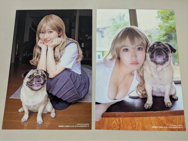 田中美久 x INNU イッヌ スペシャルポストカード2枚組 非売品 講談社 Miku Tanaka × INNU Inu Special Postcard Set of 2 Kodansha Bonus