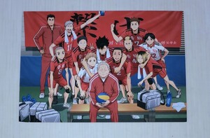 映画 ハイキュー ゴミ捨て場の決戦 入場者特典 音駒高校最後の集合写真 イラストカード 僅かなダメージあり使用感少ない綺麗な商品