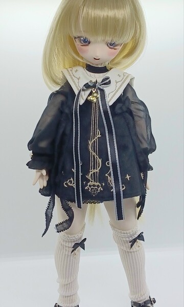DDH カスタムヘッド アイ ボディ 衣装 靴