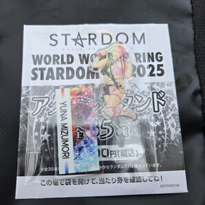 水森 由菜 アクリル スタンド アクスタ くじ スターダム 2025 ドン・キホーテ ドンキ アピタ ピアゴ 女子 プロレス グッズ acrylic stand