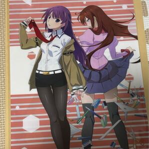 シュタインズゲート 物語シリーズ クリアファイル 戦場ヶ原ひたぎ 牧瀬紅莉栖