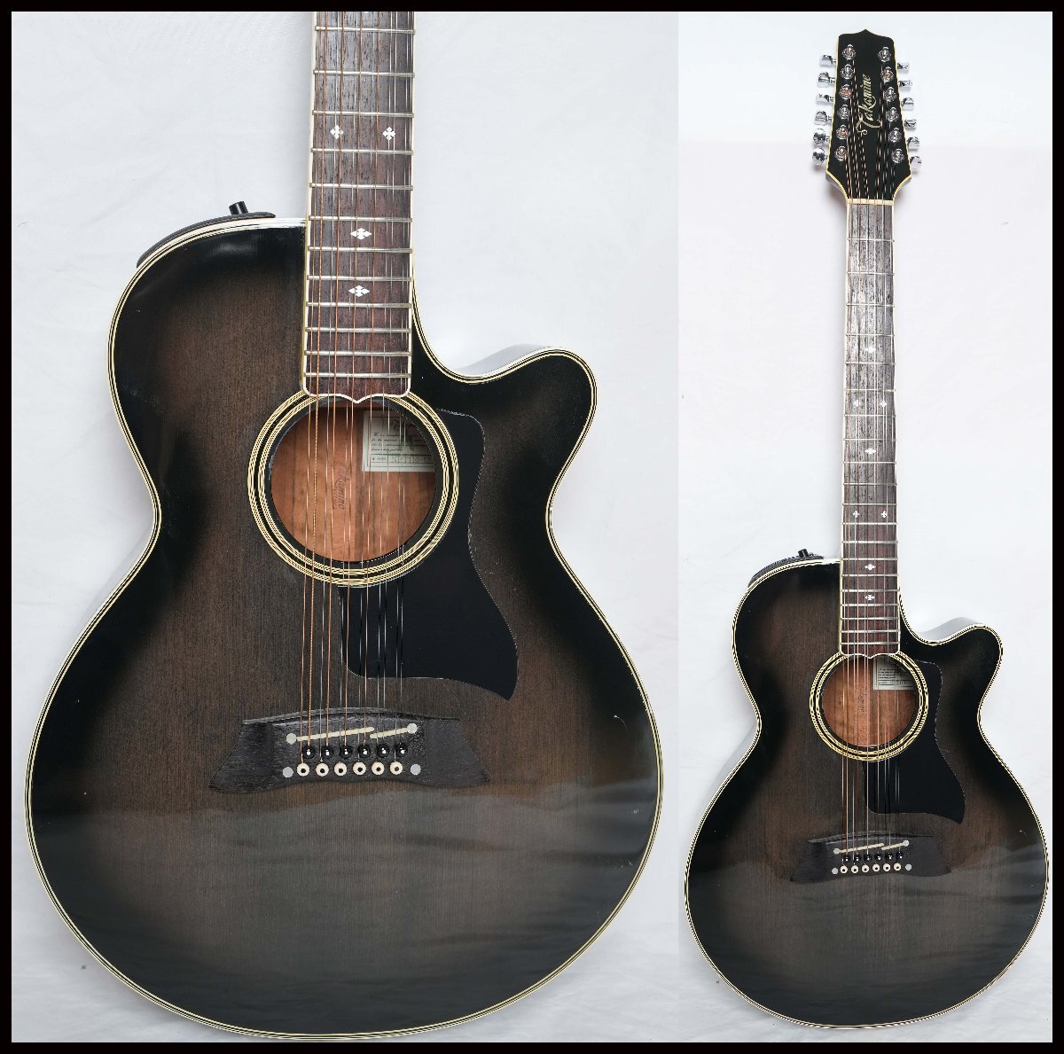 TAKAMINE NPT-110 Acoustic Electric Guitar With Hard Case