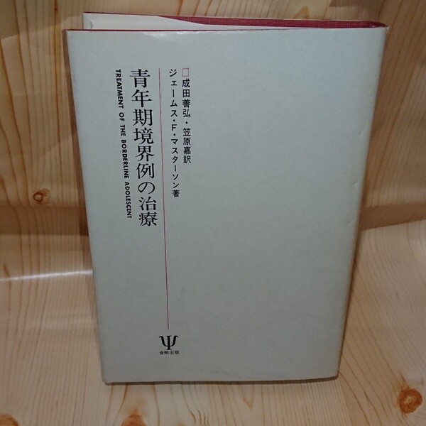 ☆★青年期境界例の治療 ジェームス・F・マスターソン著 成田善弘・笠原 嘉 訳 金剛出版【送料無料◎即決価格】