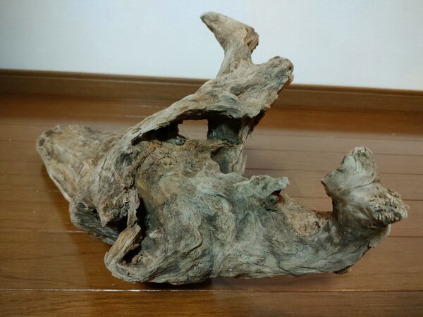 ☆天然流木 水槽 1点物 アクアリウム オブジェ アート 44×25×19cm 大和川 河口 爬虫類 めだか トカゲ ヘビ 老木 飾り