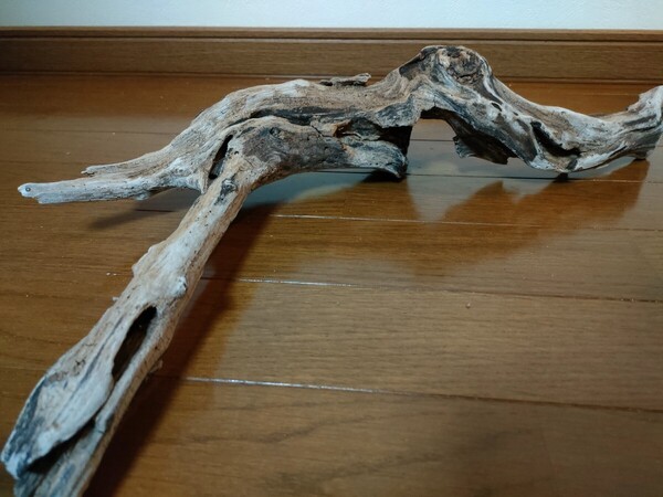 ☆天然流木 水槽 1点物 アクアリウム オブジェ アート 53×28×9.5cm 大和川 河口 爬虫類 めだか 魚 トカゲ ヘビ 老木