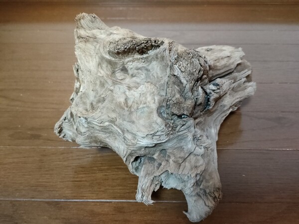 ☆天然流木 水槽 1点物 アクアリウム オブジェ アート 28×21×15.5cm 大和川 河口 爬虫類 めだか 魚 トカゲ ヘビ 老木