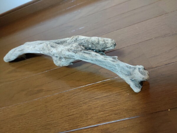 ☆天然流木 水槽 1点物 アクアリウム オブジェ アート 40×10×7cm 大和川 河口 爬虫類 めだか 魚 トカゲ ヘビ 老木